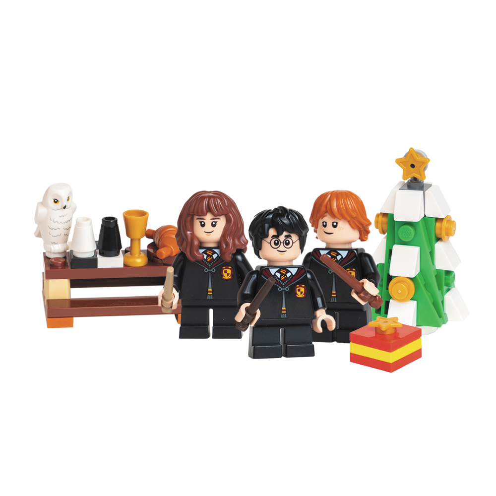 LEGO® HARRY POTTER™Magical Year at Hogwarts - AMEET